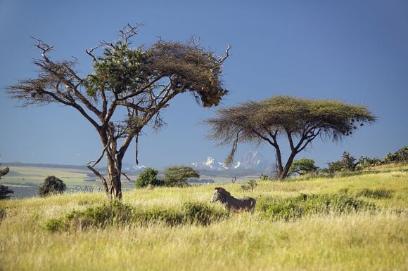 MOUNT KENYA NATIONAL PARK
