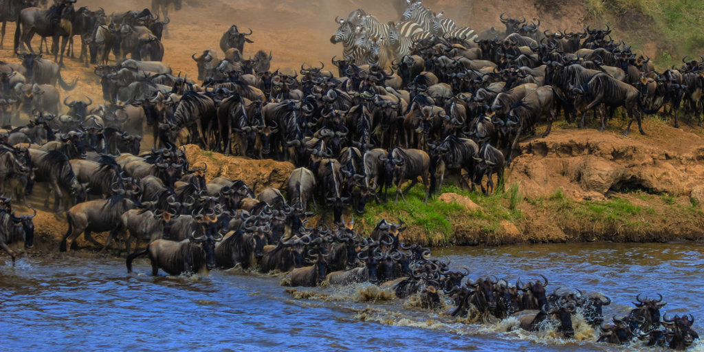 MAASAI MARA 3 DAYS ITINERARY